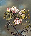 Martin Johnson Heade Branch of Apple Blossoms against a Cloudy Sky painting